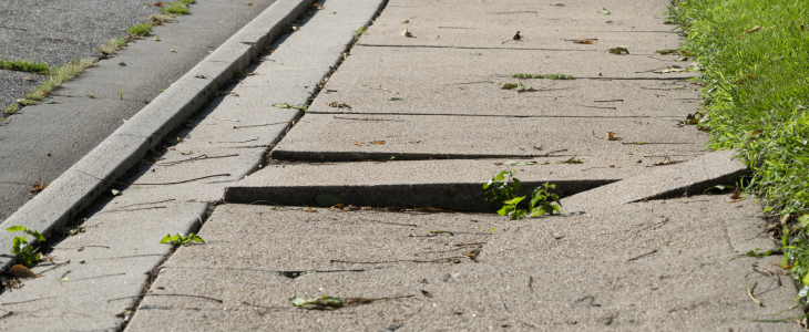 A cracked and uneven sidewalk