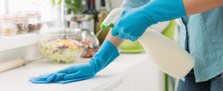 Lady spraying household cleaner on her counter